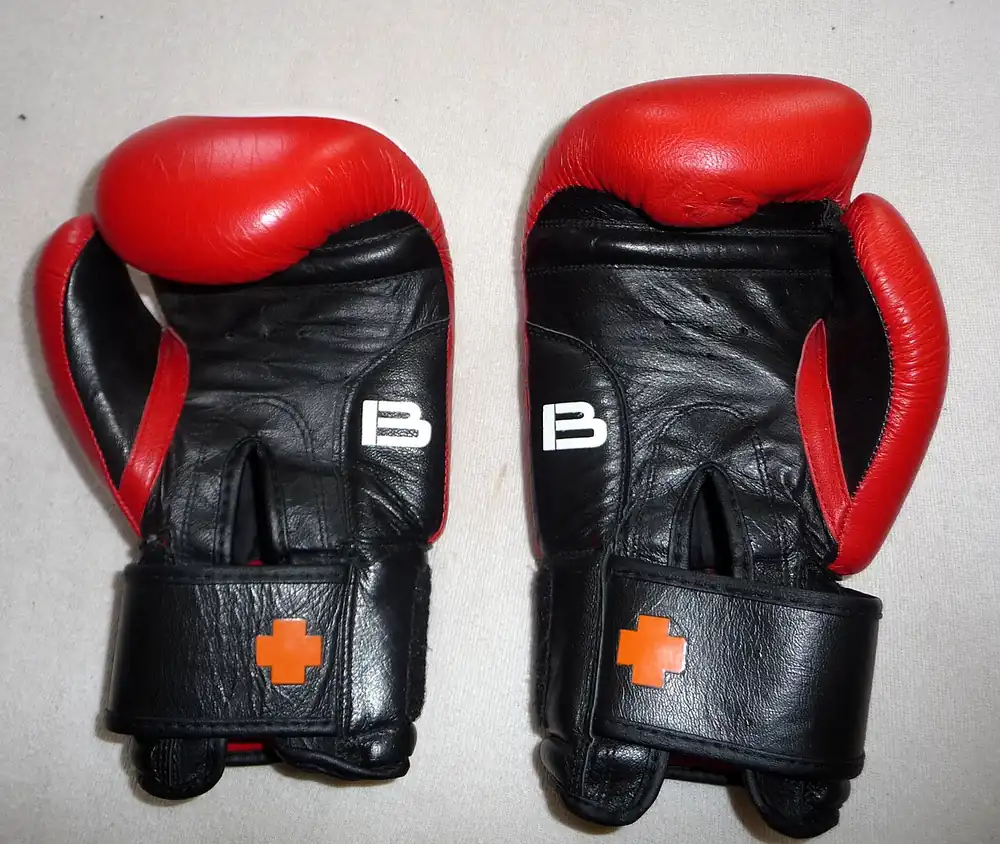 apuestas boxeo argentina - par de guantes de box