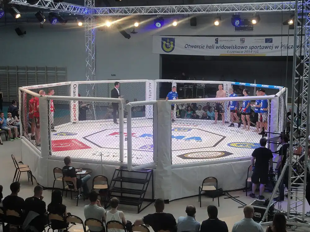 como apostar en ufc desde argentina - jaula de MMA