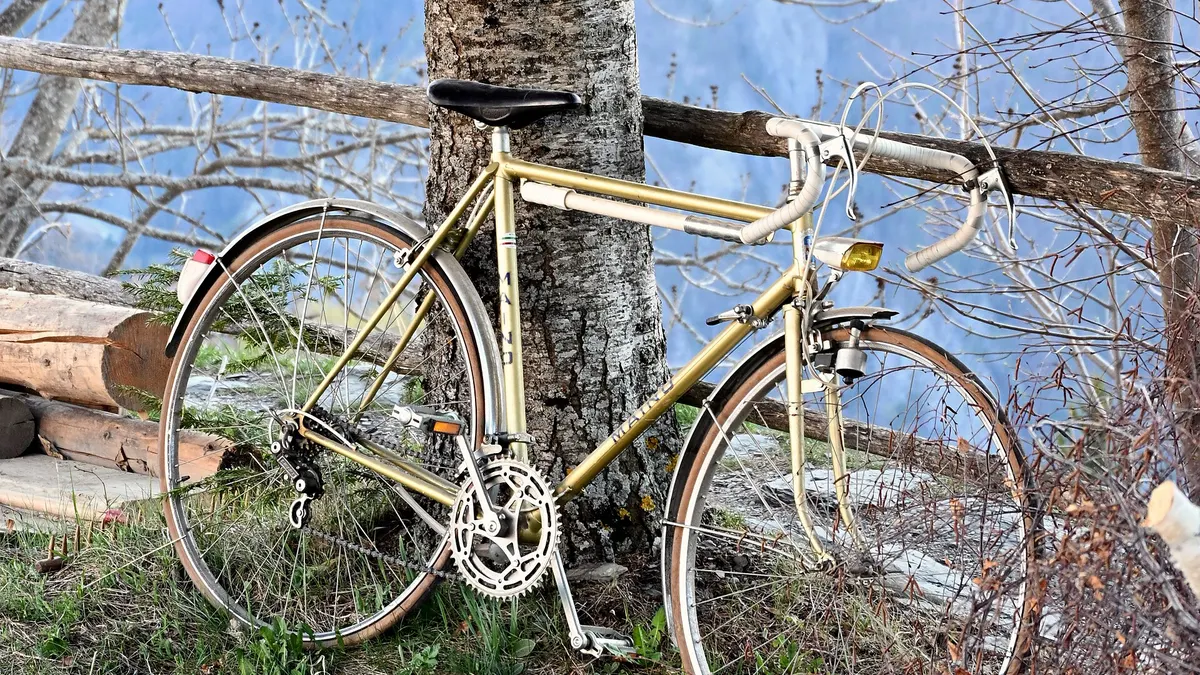 Vintage road racing bicycle leaning on a tree - apuestas tour de francia desde argentina